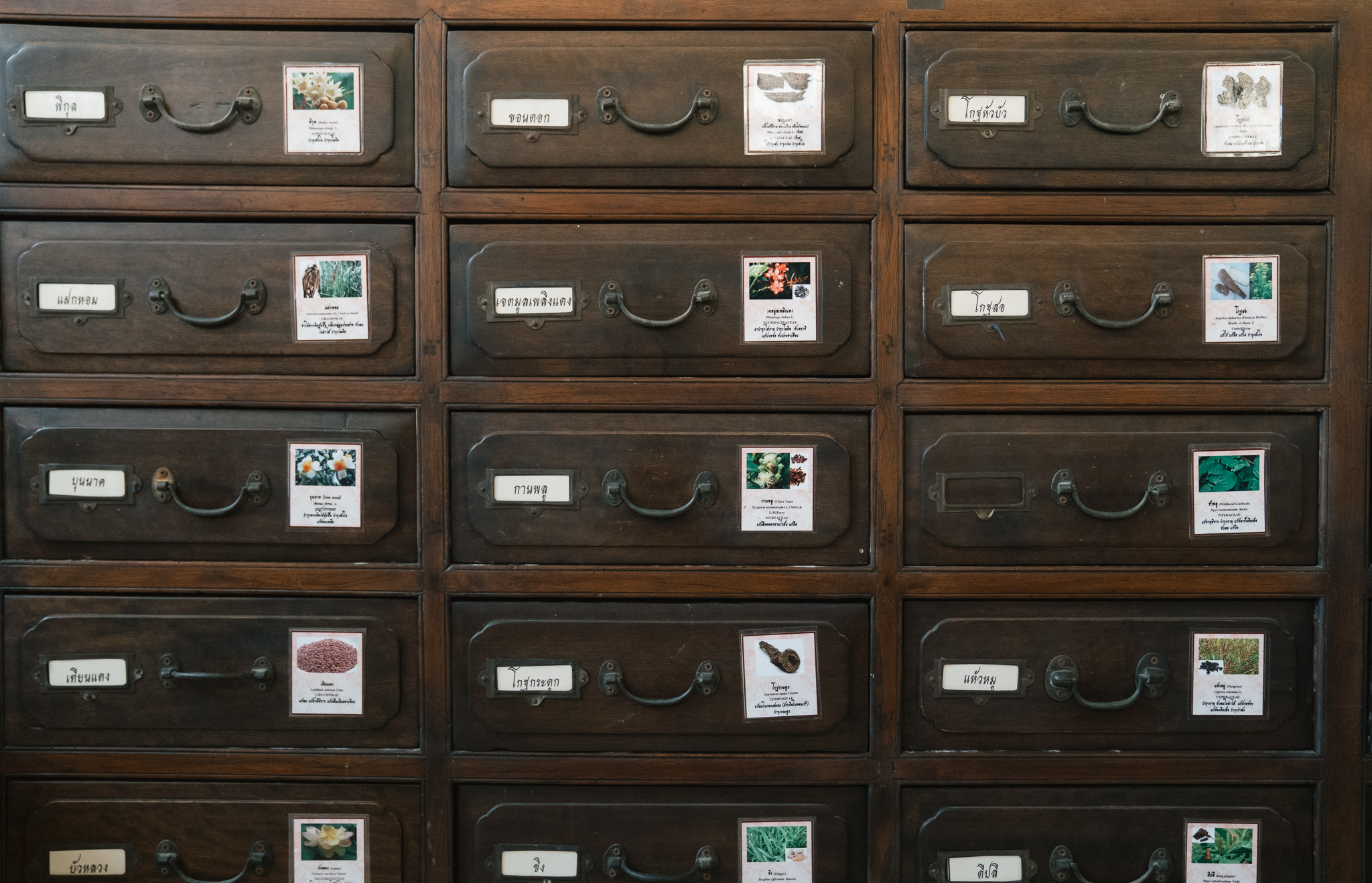 Hand-labeled drawers in a traditional medicine hall hold the roots, barks, and seeds of a centuries-old pharmacopoeia.