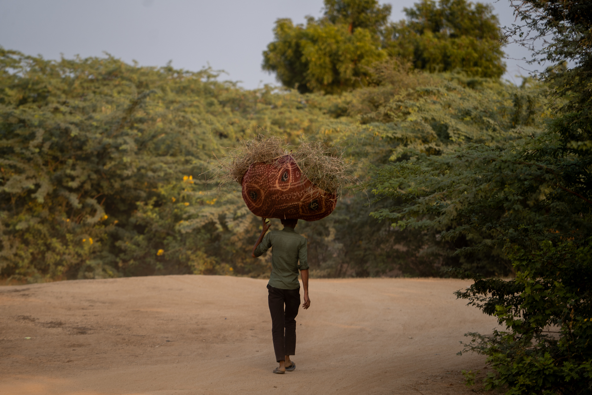 A worker balances a load of cut grass wrapped in printed cloth, walking the dusk road back toward the village.