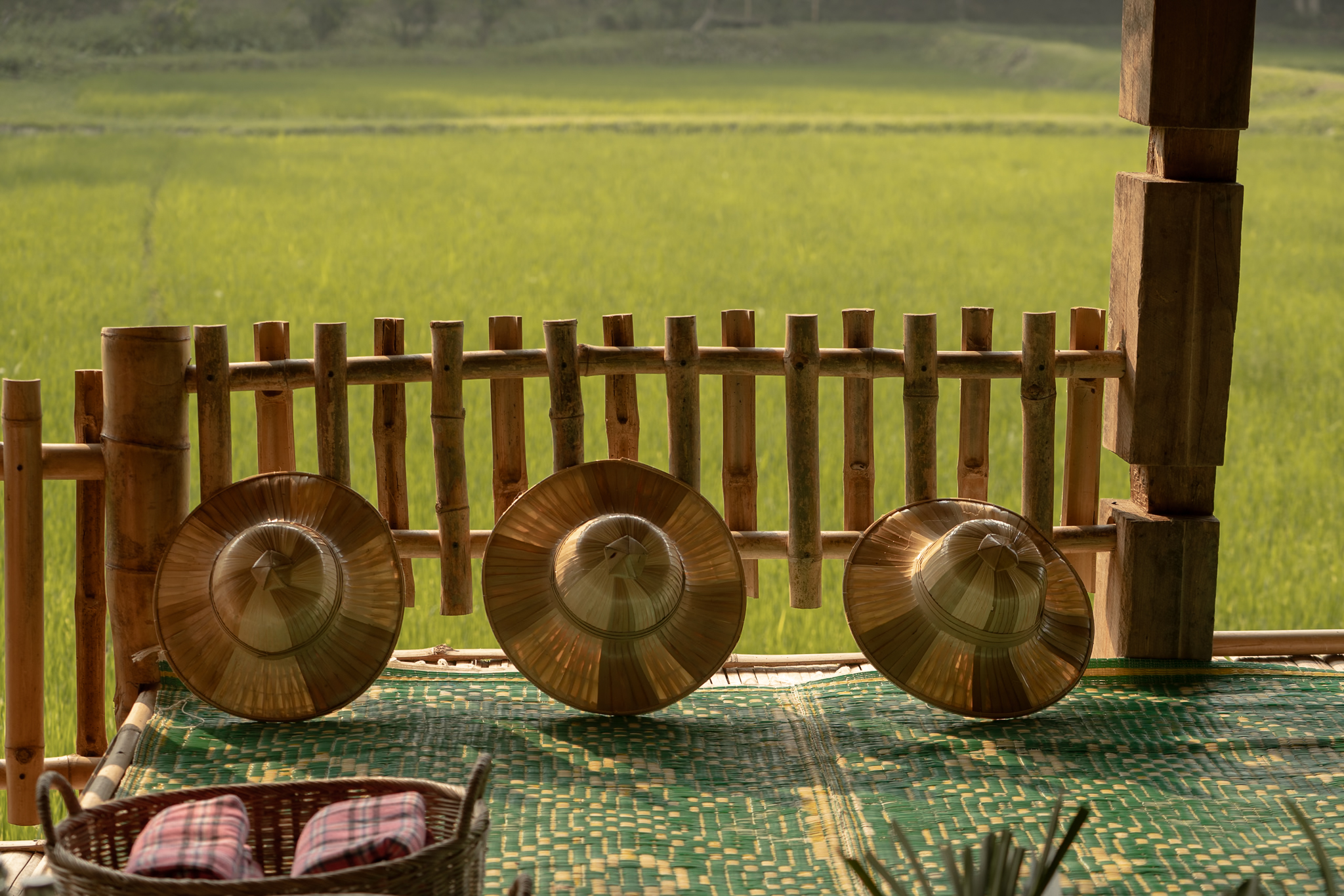 Conical bamboo hats rest on a fence rail, the emerald paddy stretching out behind them in the late-day glow.