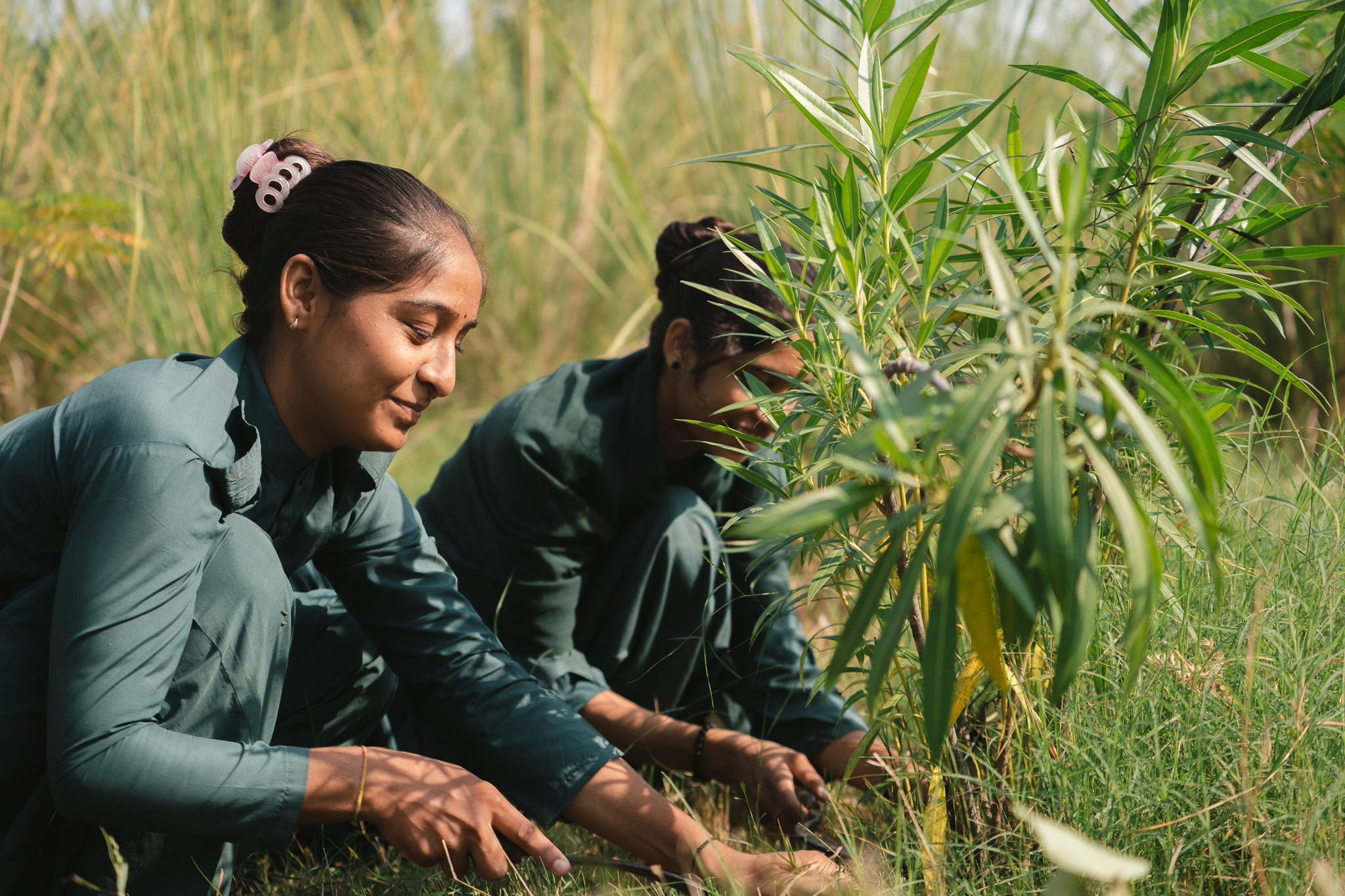 Two rangers from a community forest unit settle a young sapling into the grassland at first light, part of a buffer-zone restoration effort.