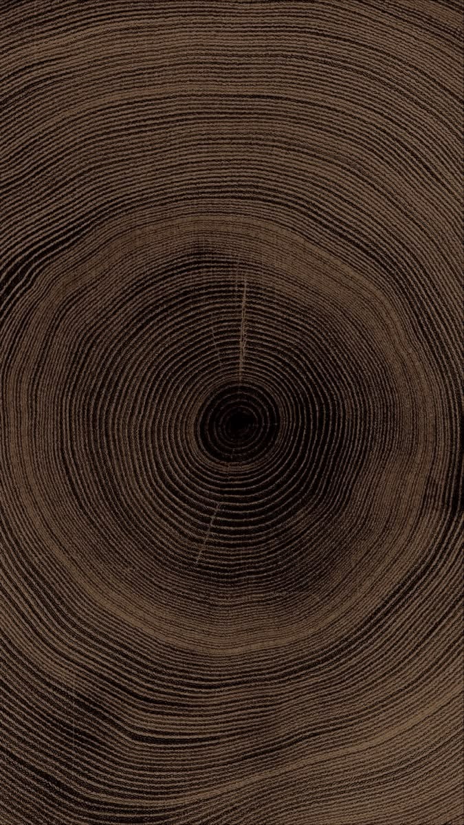 Concentric tree rings, representing the layers of the conscious and subconscious mind