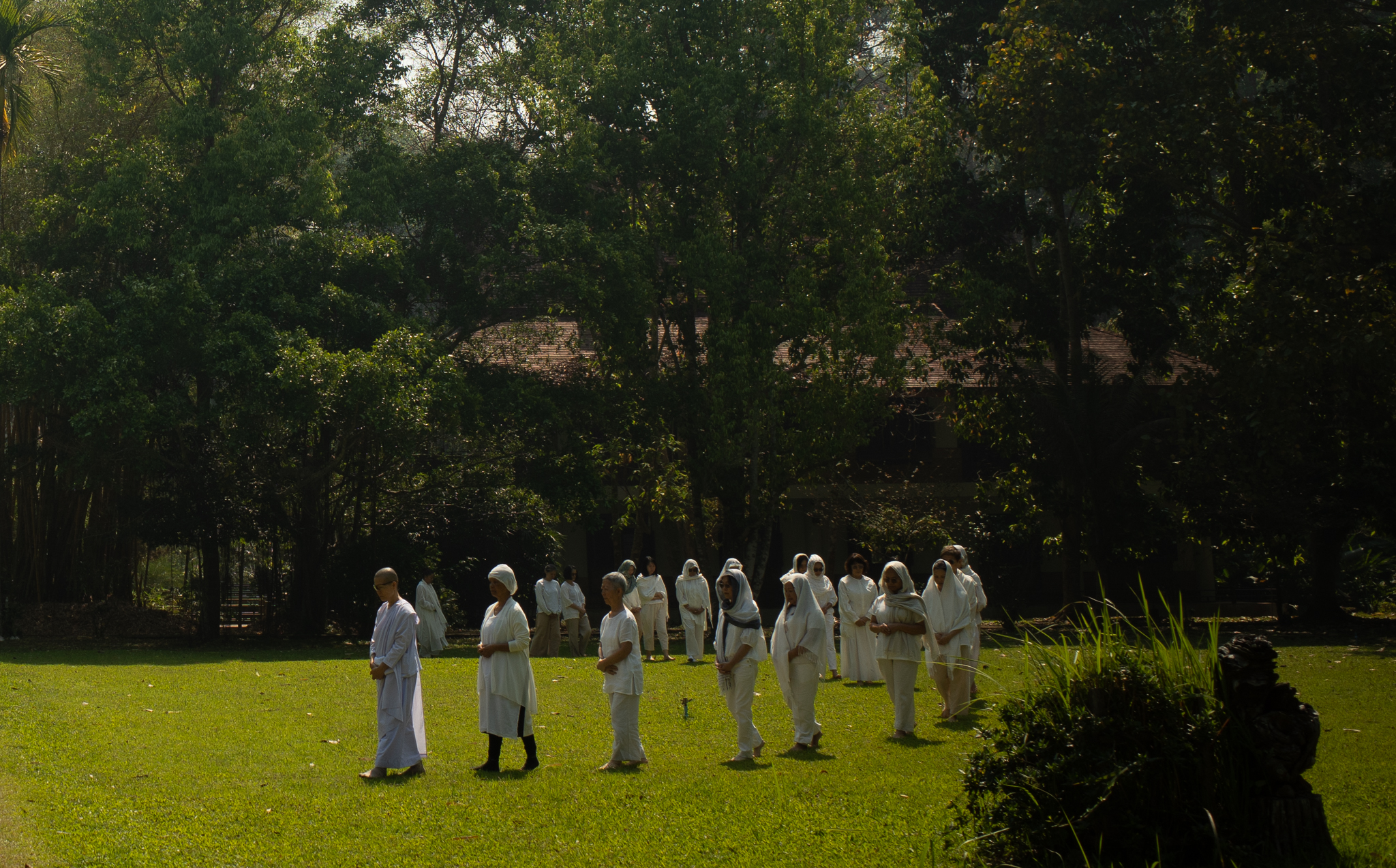 People in white walking in slow meditation across a forest lawn in northern Thailand