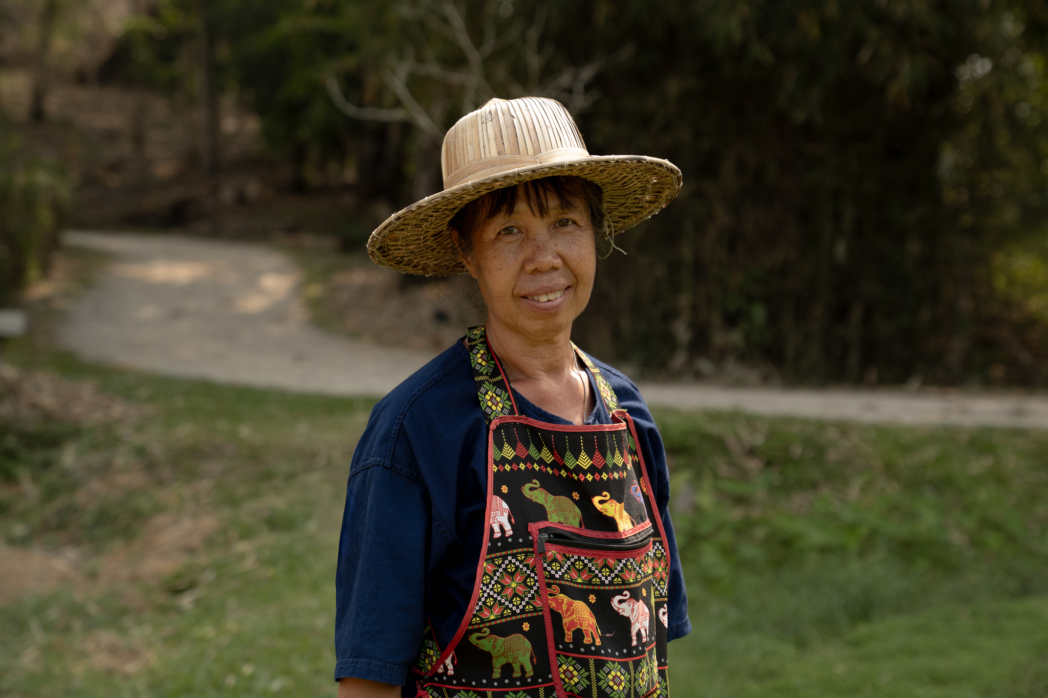 A vendor smiles between errands, her apron embroidered with the elephants that thread through every Thai village's iconography.